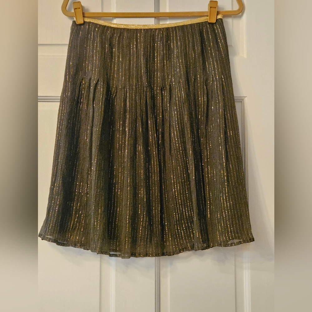 Gorgeous Silk Skirt Size 6
